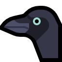 crow